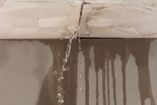 Professional Flood Damage Cleanup technician working in Gauley Bridge, WV